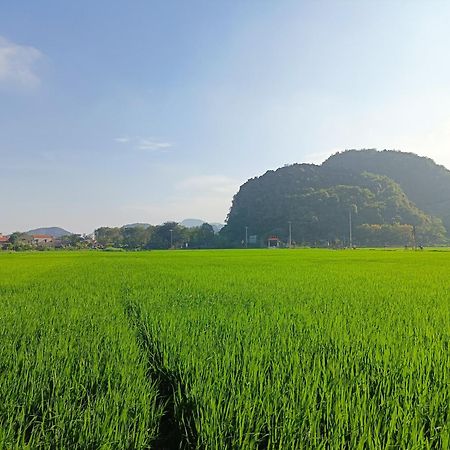 Tam Coc Sunshine Homestay Ніньбінь Екстер'єр фото