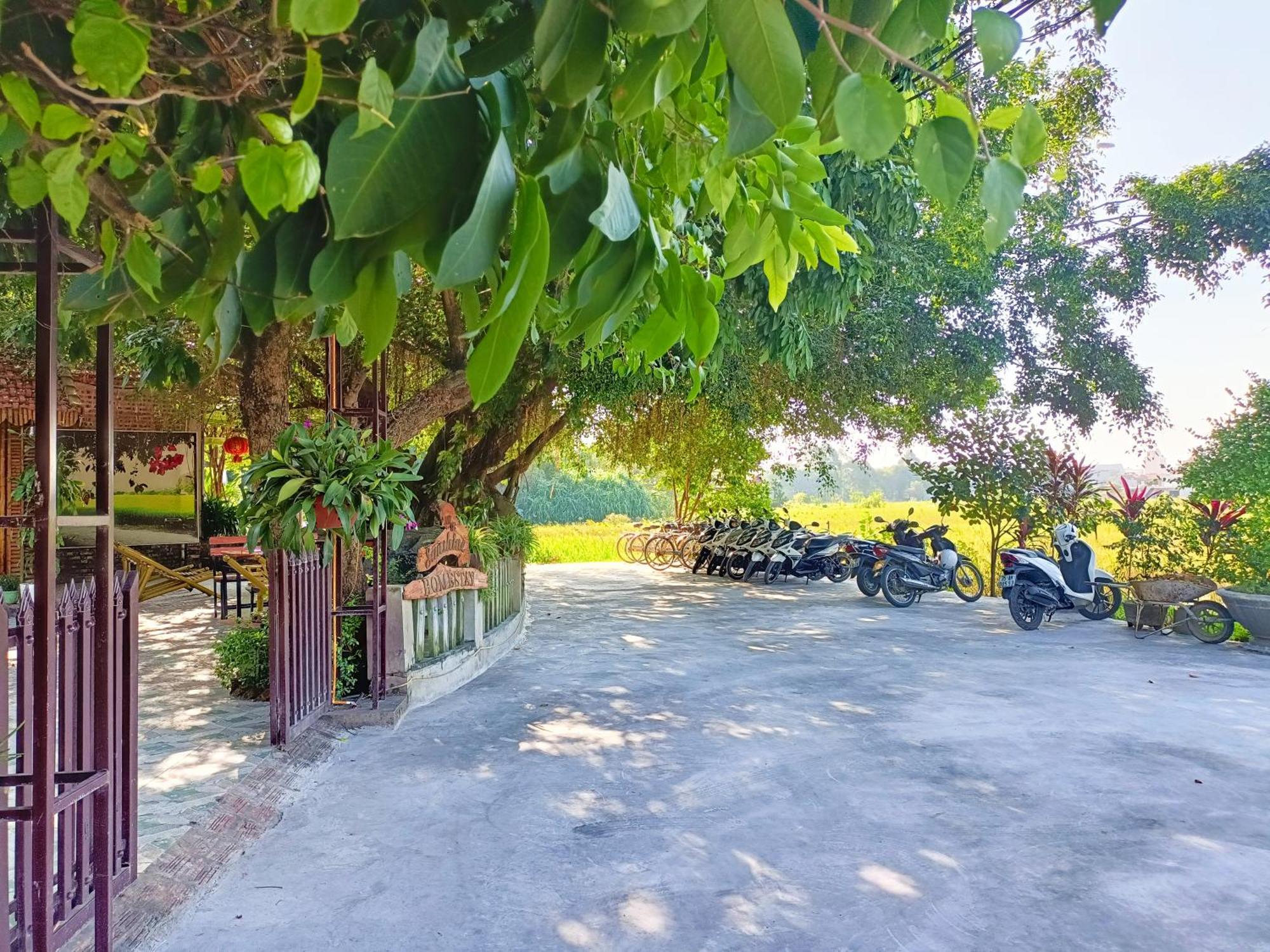 Tam Coc Sunshine Homestay Ніньбінь Екстер'єр фото