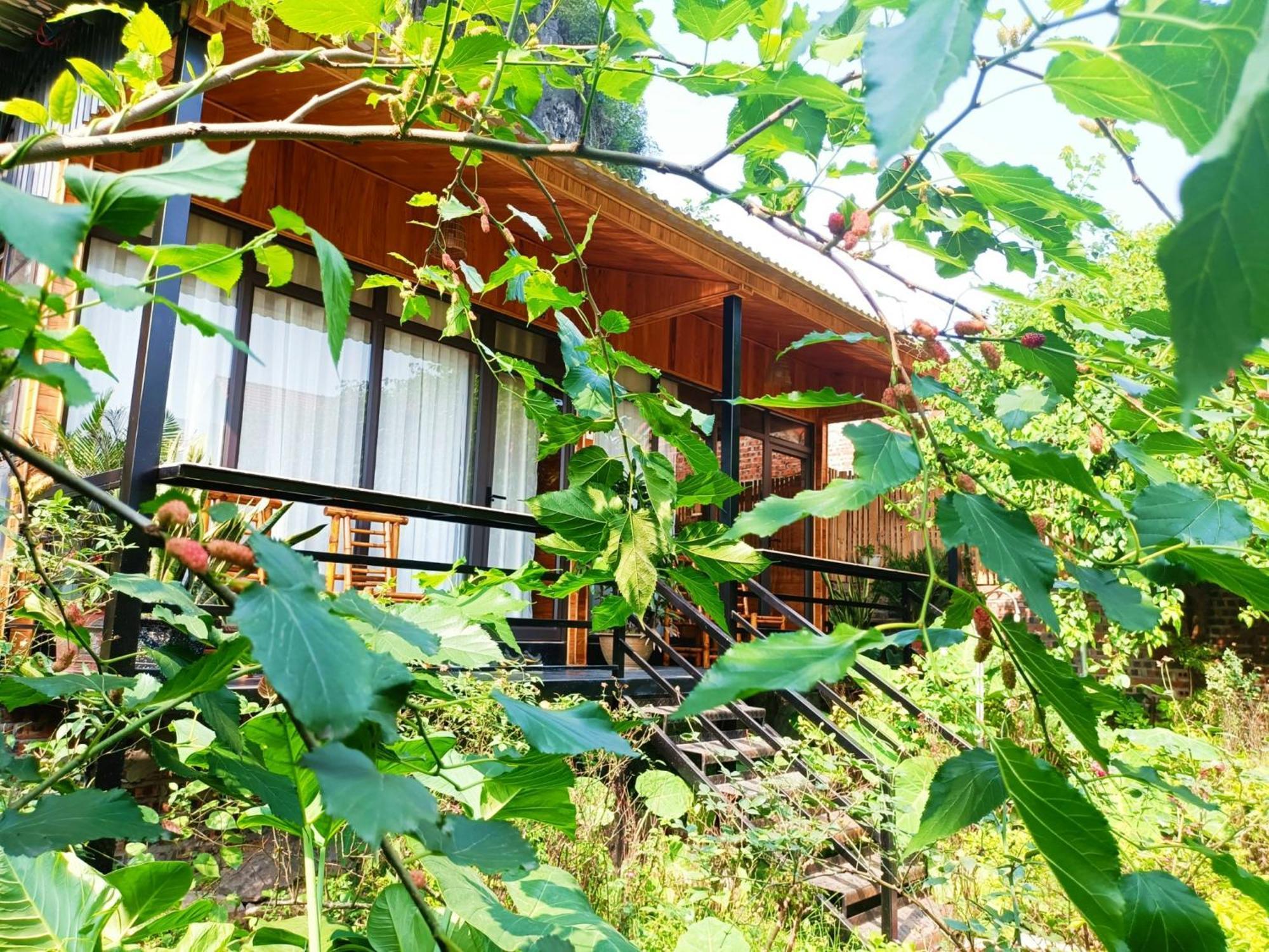 Tam Coc Sunshine Homestay Ніньбінь Екстер'єр фото