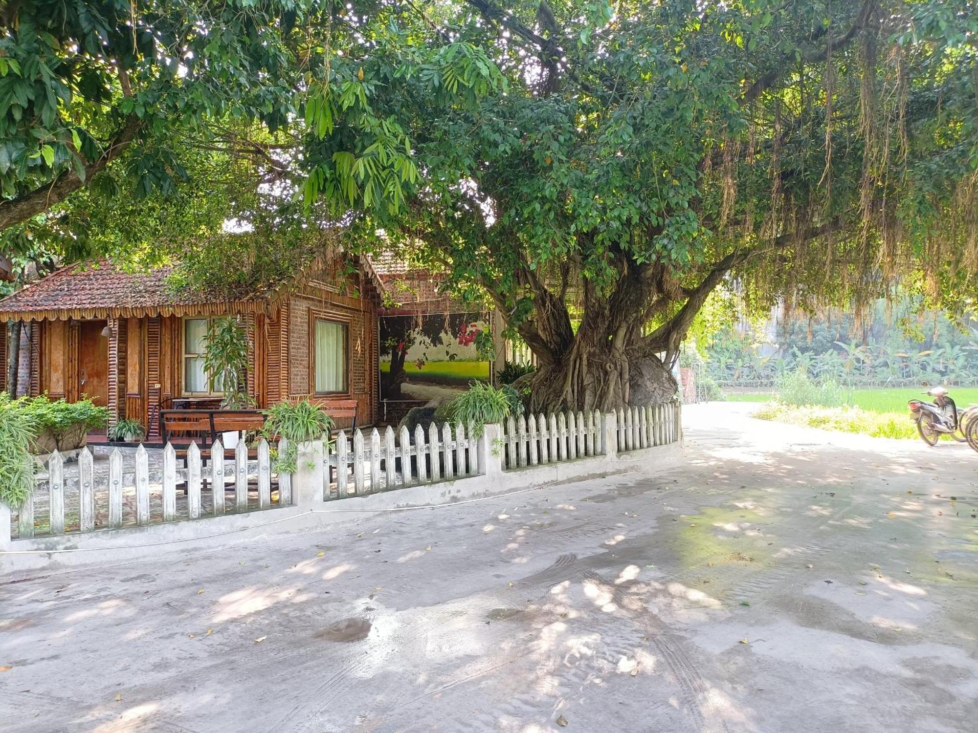 Tam Coc Sunshine Homestay Ніньбінь Екстер'єр фото