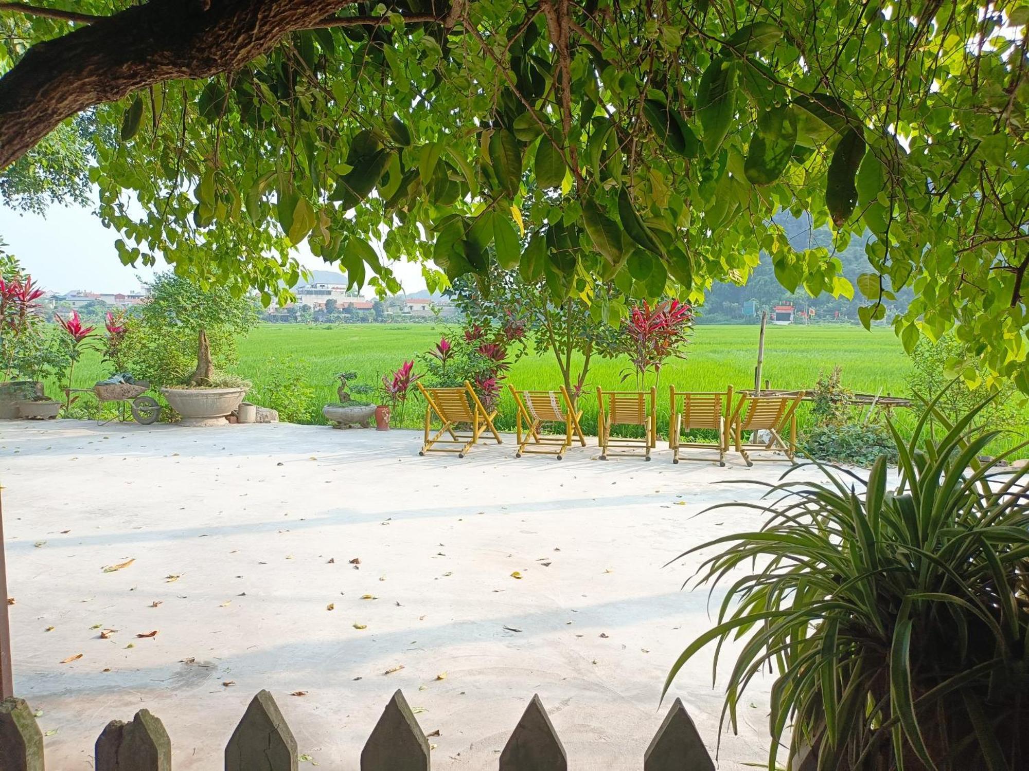Tam Coc Sunshine Homestay Ніньбінь Екстер'єр фото
