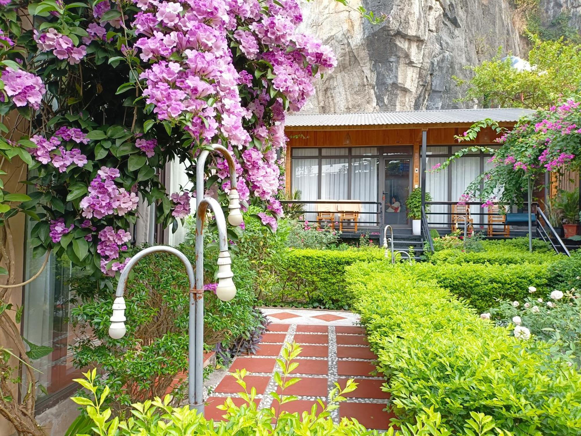 Tam Coc Sunshine Homestay Ніньбінь Екстер'єр фото