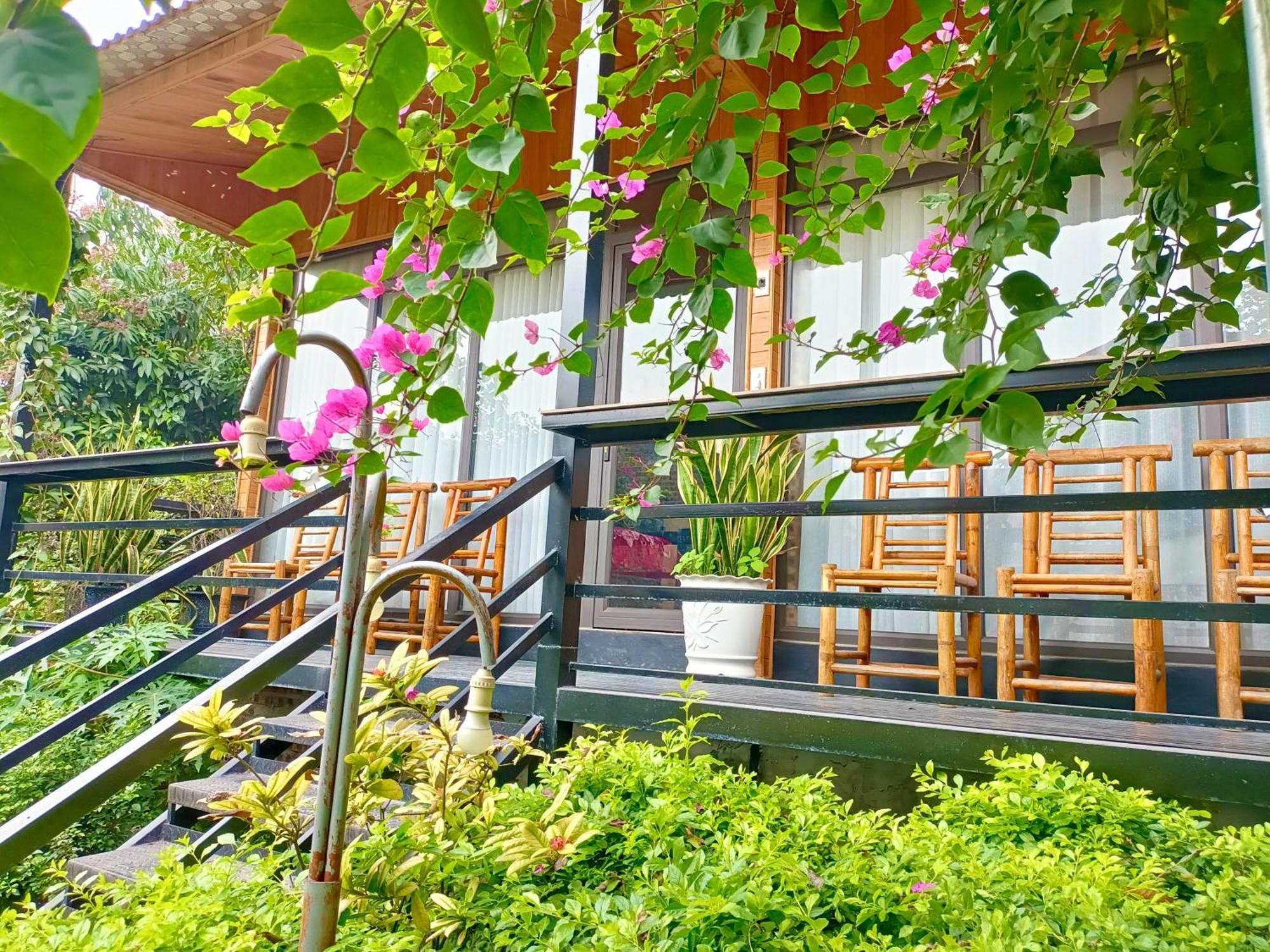 Tam Coc Sunshine Homestay Ніньбінь Екстер'єр фото