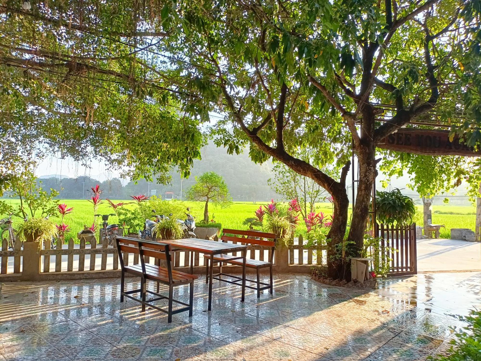 Tam Coc Sunshine Homestay Ніньбінь Екстер'єр фото