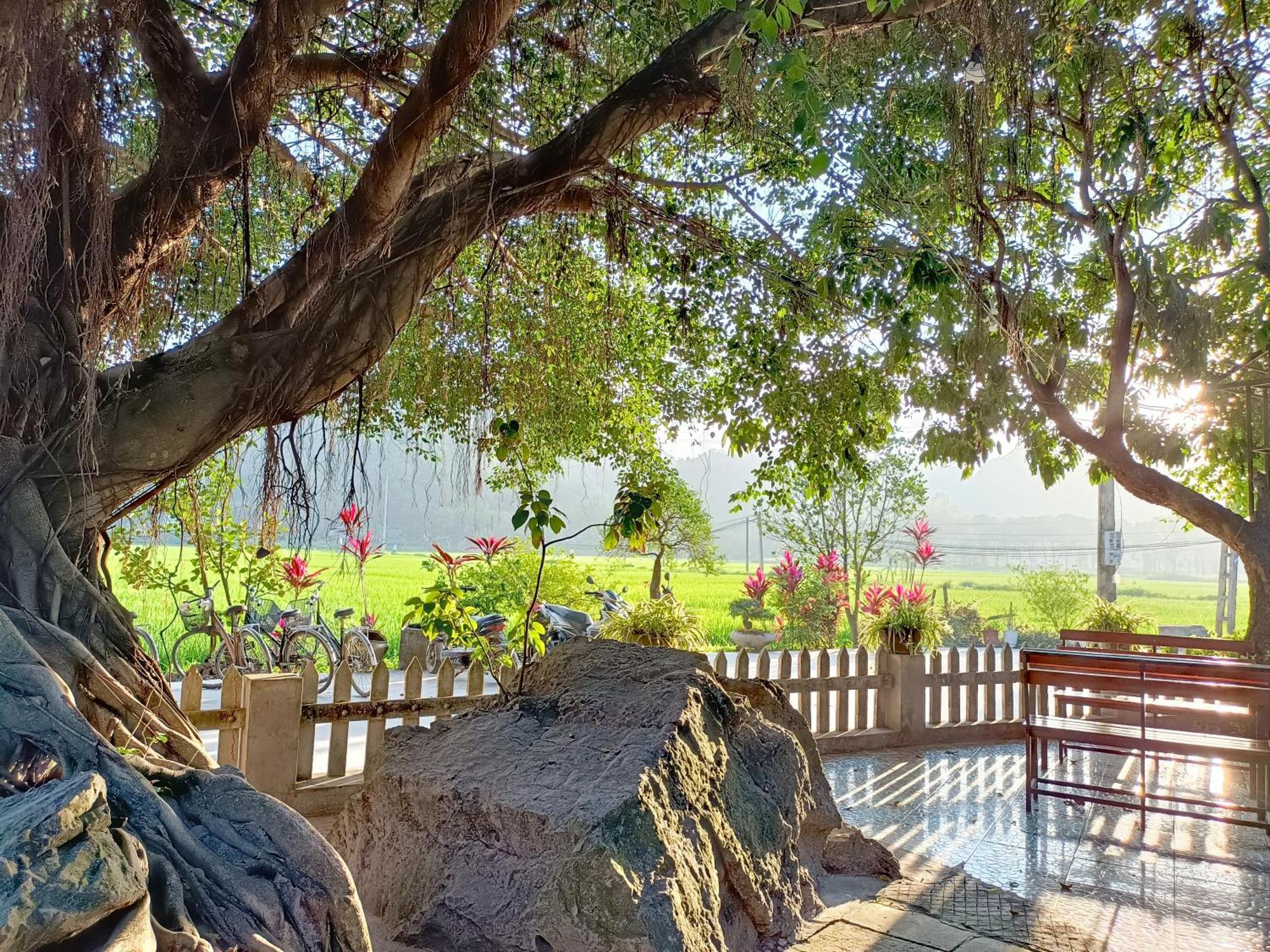 Tam Coc Sunshine Homestay Ніньбінь Екстер'єр фото