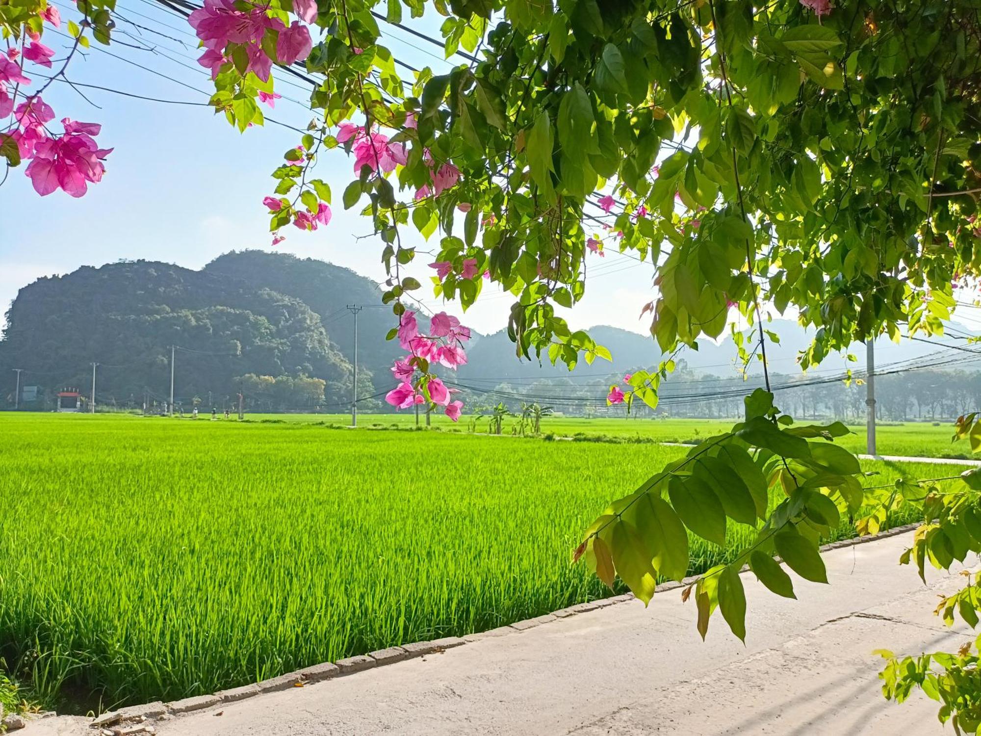 Tam Coc Sunshine Homestay Ніньбінь Екстер'єр фото