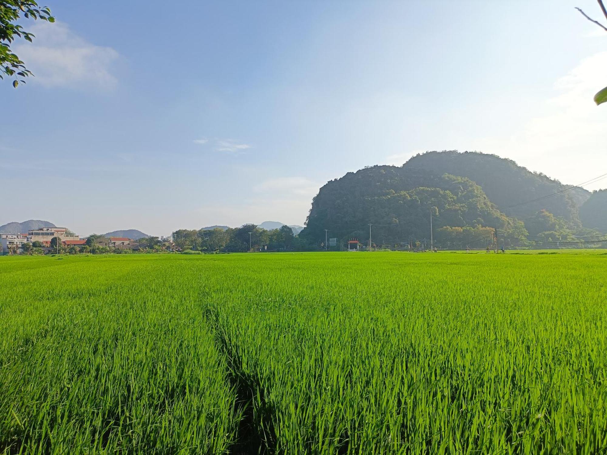 Tam Coc Sunshine Homestay Ніньбінь Екстер'єр фото